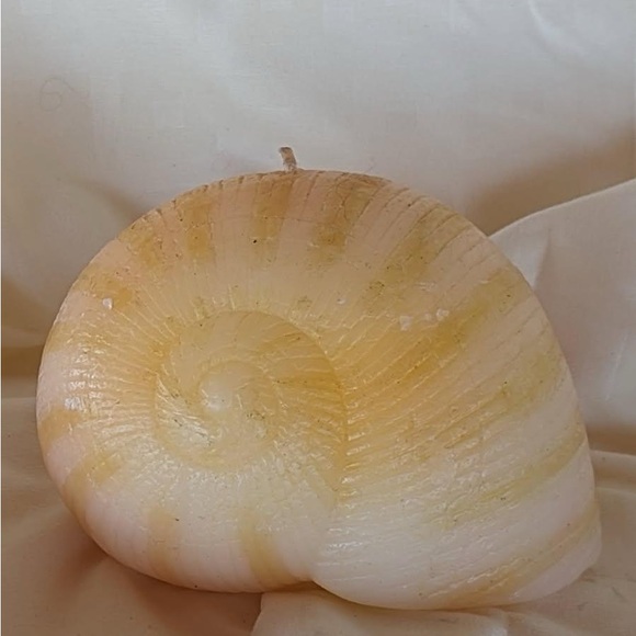 Hand Crafted Conch Shell Candle - Cream and Yellow - Picture 1 of 3